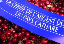 Catherine Faugère, cerises, oignons