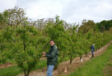 Vignes Et Vergers De Correze