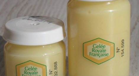 gelée royale bio