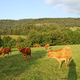 La Ferme du Chalabrais