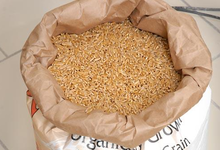  Farine de Blé Khorasan (Kamut®) ~ 1 kg