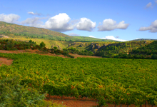 Les Vignobles Perrain