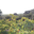 Domaine Bottero