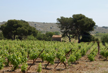 Domaine de l'Evêque