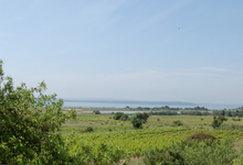 Domaine de l'Evêque
