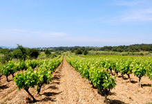 Domaine de l'Evêque