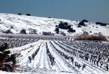 Domaine de l'Evêque