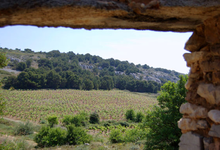 Domaine de l'Evêque