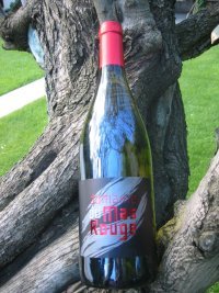 VDP Oc Blanc Sec - Domaine du Mas Rouge