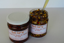 Fèves de cacao au miel 