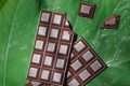 Tablette de chocolat noir 90% de cacao 