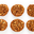Cookie  White Monkey
