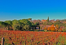 Mas De Daumas Gassac