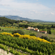 Domaine Armand