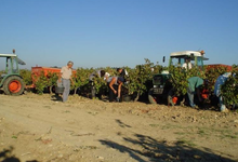 Domaine des Banquettes