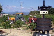 Domaine Beau Mistral