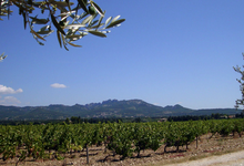 Domaine Bessac