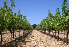 Domaine Bessac