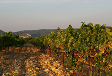 Domaine Bessac