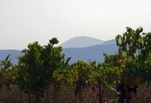 Domaine Bessac
