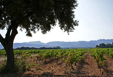 Domaine Bessac