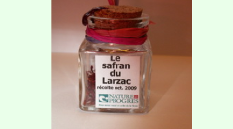 Safran du Larzac