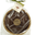 Gâteau aux Noix du Périgord Chocolat