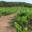 Domaine Rimbert