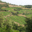 Domaine Rimbert