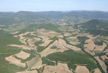 Domaine Rimbert