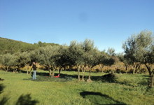 Clos de la Procure