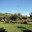 Clos de la Procure