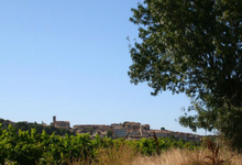 Domaine de Castelnau