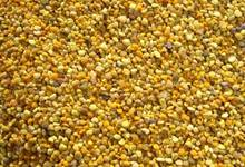 Pollen De Fleur