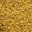 Pollen De Fleur