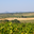Domaine de Daurion