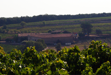 Domaine de Daurion