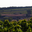 Domaine de Daurion