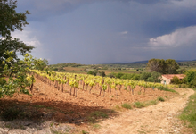 Domaine de Daurion