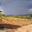 Domaine de Daurion