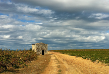 Domaine de Daurion