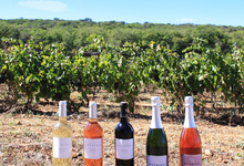 Domaine de Daurion