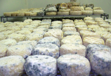 Chevrerie De L'eterlou