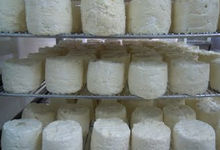 fromage frais de chèvre