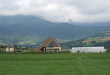 L'estancou
