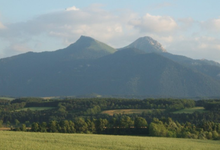 L'estancou