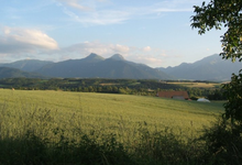 L'estancou