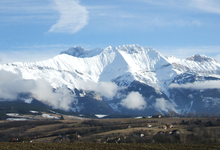 L'estancou