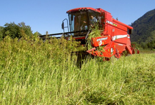 Ferme de Ruthières
