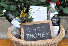 gaec thorey